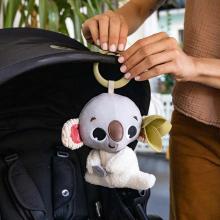 koala_6