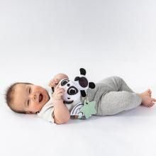 pidviska_panda_7