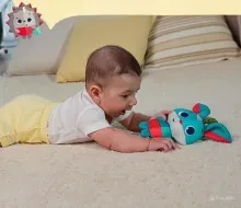 podarunkovyy_nabir_vesela_halyavyna