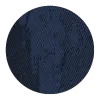 CYB_25_PL_RLDB_Color_Dot