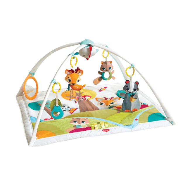 copy_of_copy_of_untitled_1_2