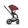 cyb22inty270rockstarpriammablrosrcanopy18069e32ce555d70