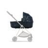 cyb21inty270jewelsofnaturemiosluxcarrycotrogojenagreyedout17db3eb4d4135c701