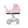 cyb21inty270simplyflowerspriamluxcarrycotmablsflpframegreyedout17db4b741e2169701